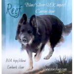 Photoroom_20250221_182307