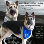 Photoroom_20250112_082638 3