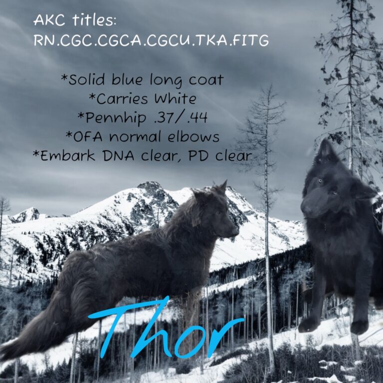 Photoroom_20250715_172216