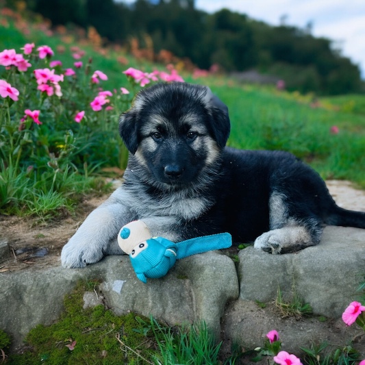 Photoroom_20240608_195426