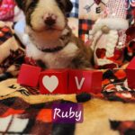 att.5cXIsQNfDdT39imfC-d5siAgzJf3tZb7NMznr6w9H5E