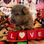 att.6s709OFesZB3OGakph68AX_vP5asU3tnSbMVrz317FA