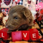 att.W4LUIu7hY21eKIjKyClCjaNHEc-Ko4ngMMo1Et5tFRY