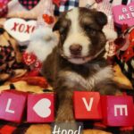 att.cxTT0AqmsIOOUfgFGnQKRyaJ6fn2g0OLNnPvraaEUfo