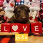 att.dYkSCsgFNOh8EzEEt5QTrR5VU2zCemgc6zS6l4GlWTk