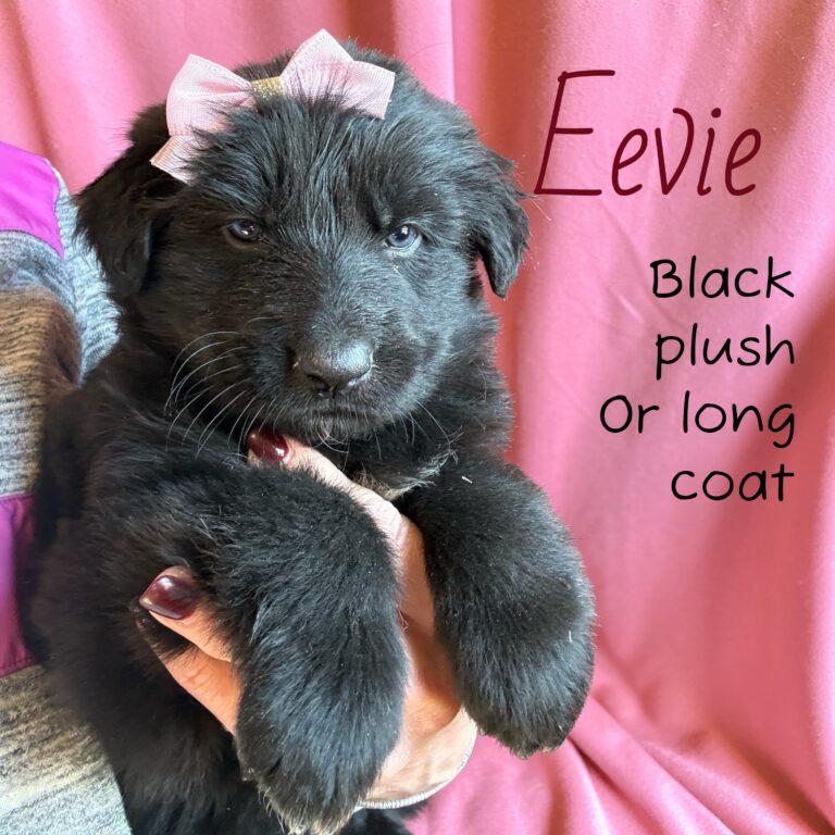 Photoroom_20260301_163232