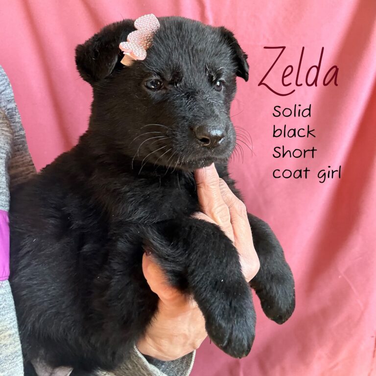 Photoroom_20260301_163608