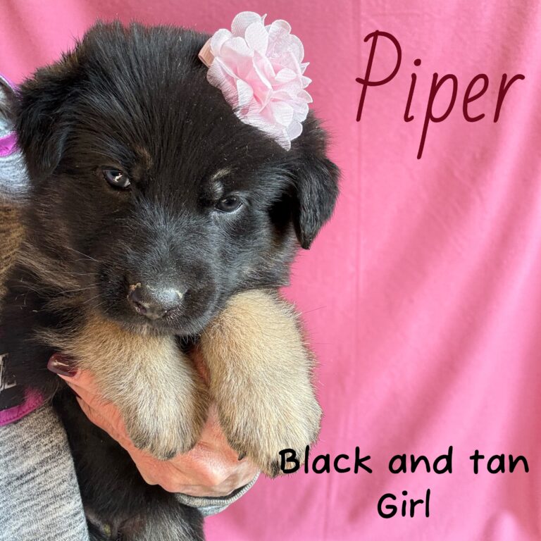 Photoroom_20260302_080445