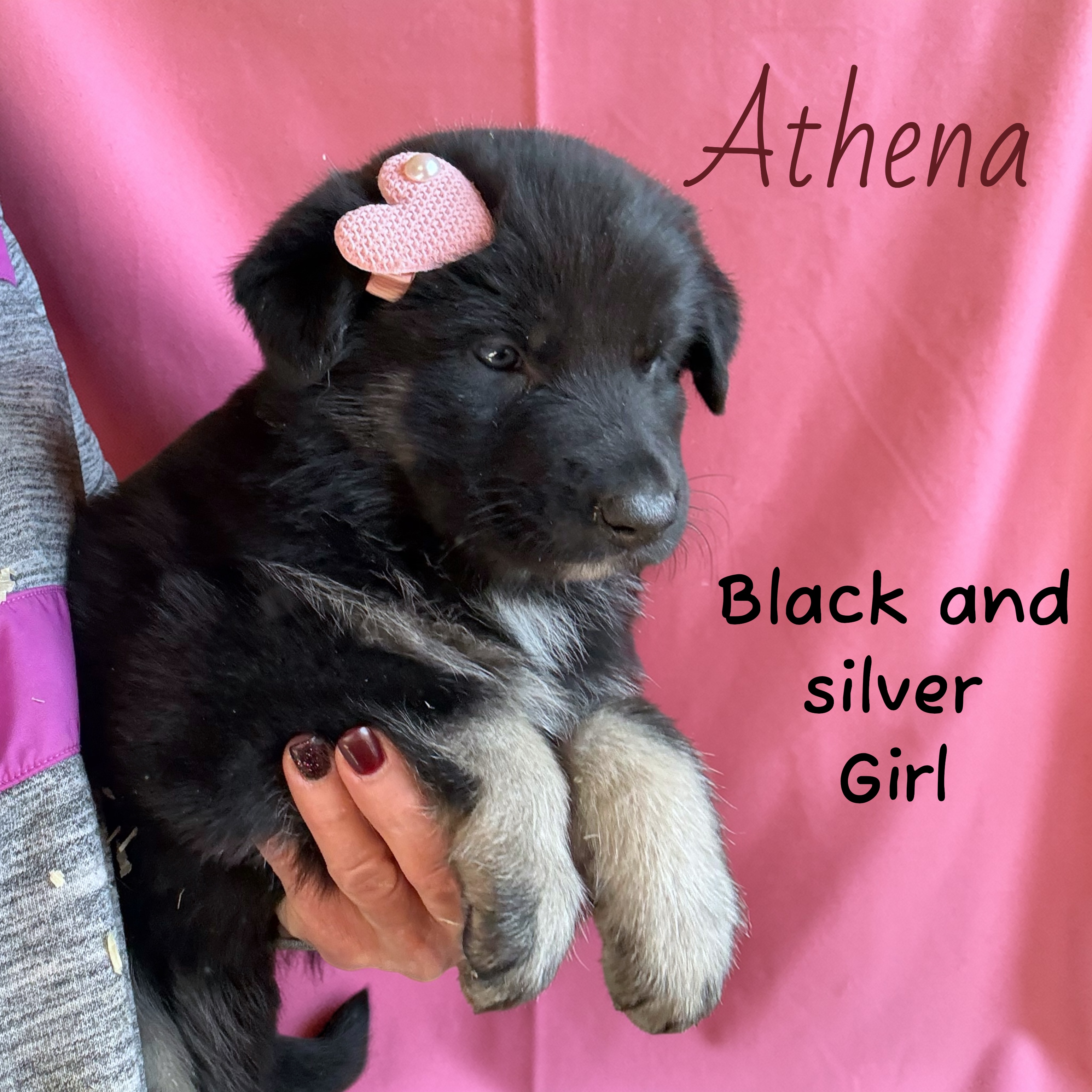 Photoroom_20260302_081133