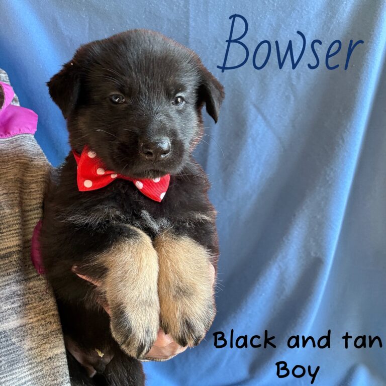 Photoroom_20260302_081453