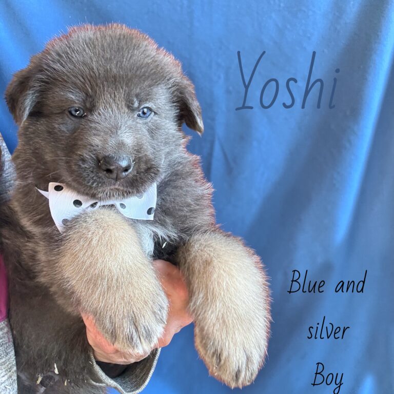 Photoroom_20260302_082256