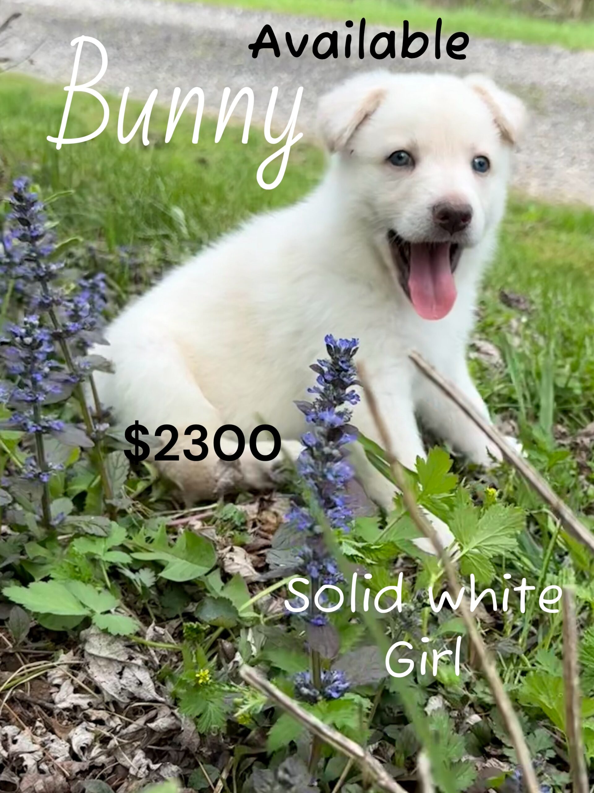 Photoroom_20260416_085513