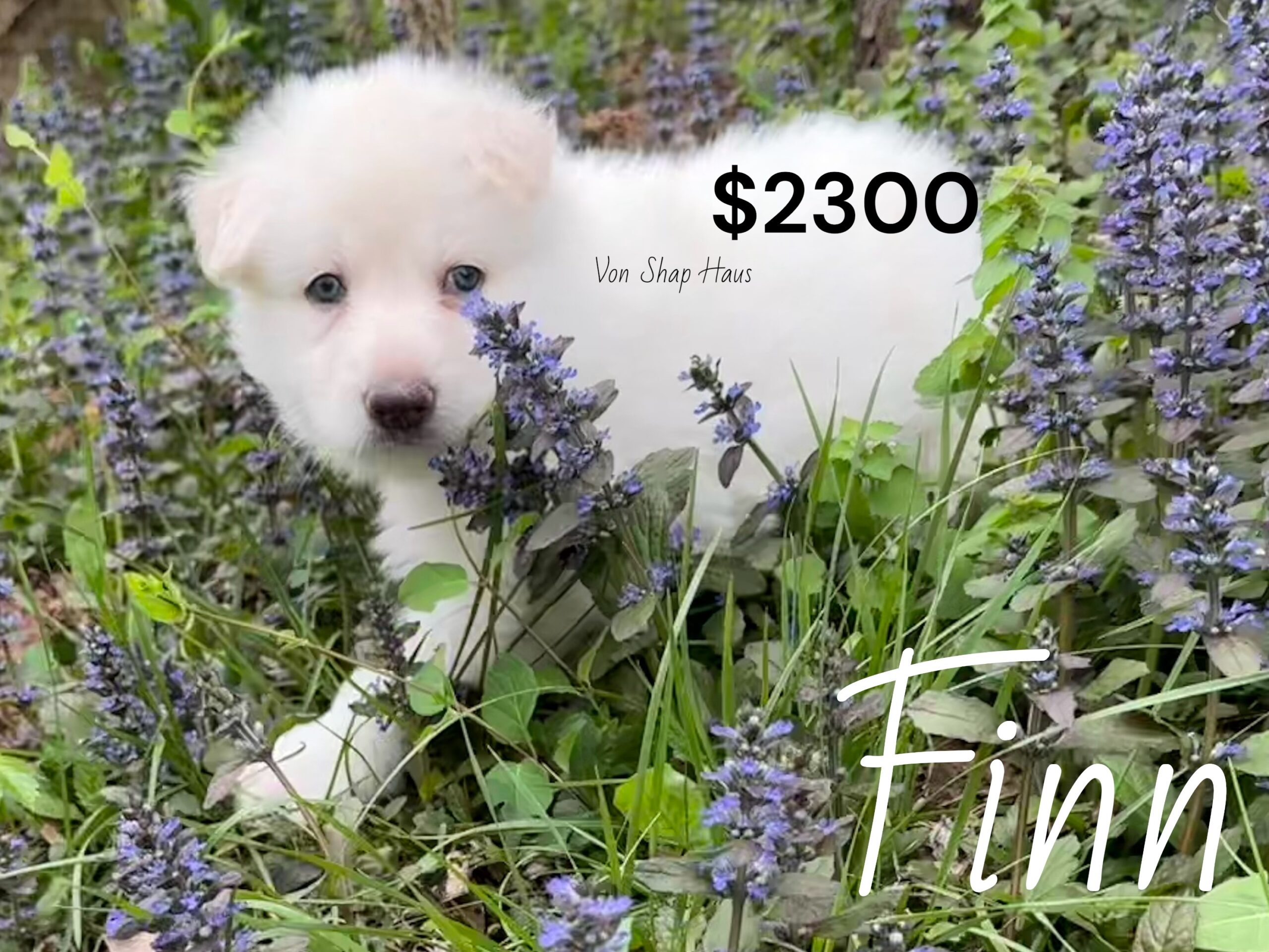 Photoroom_20260416_090055