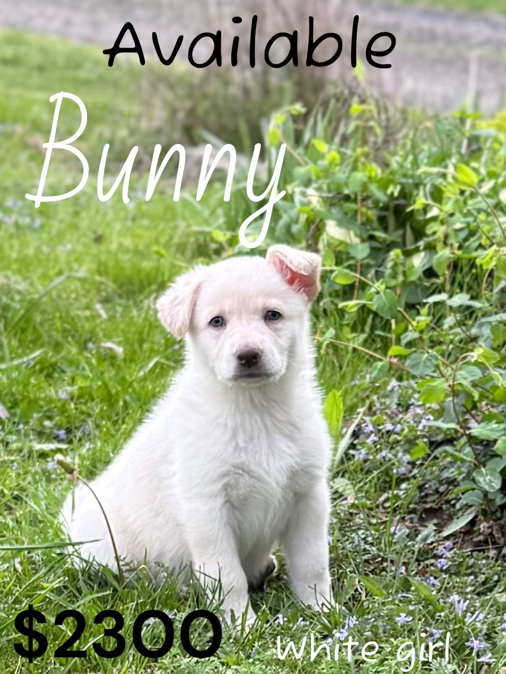 Photoroom_20260416_195810