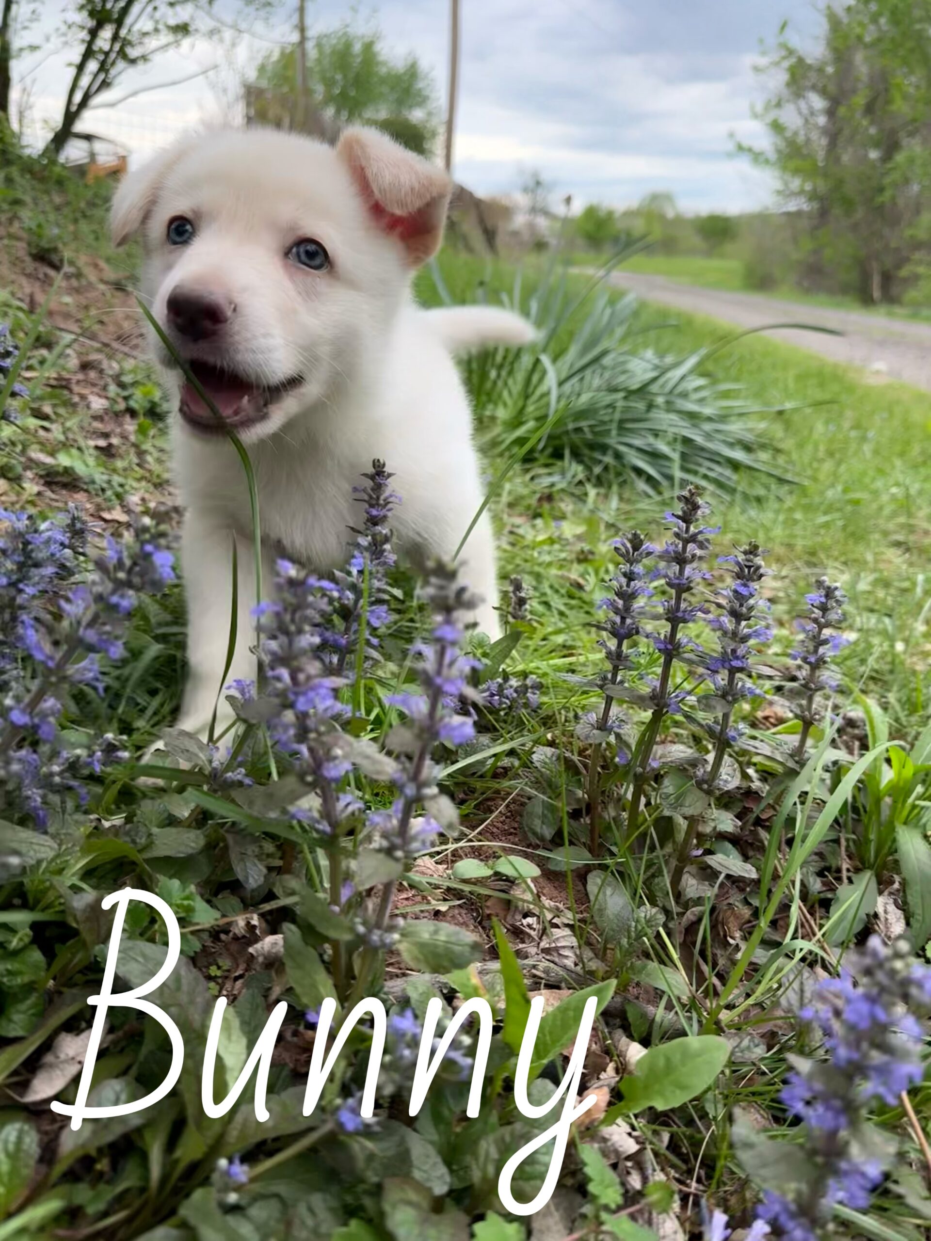 Photoroom_20260416_195916