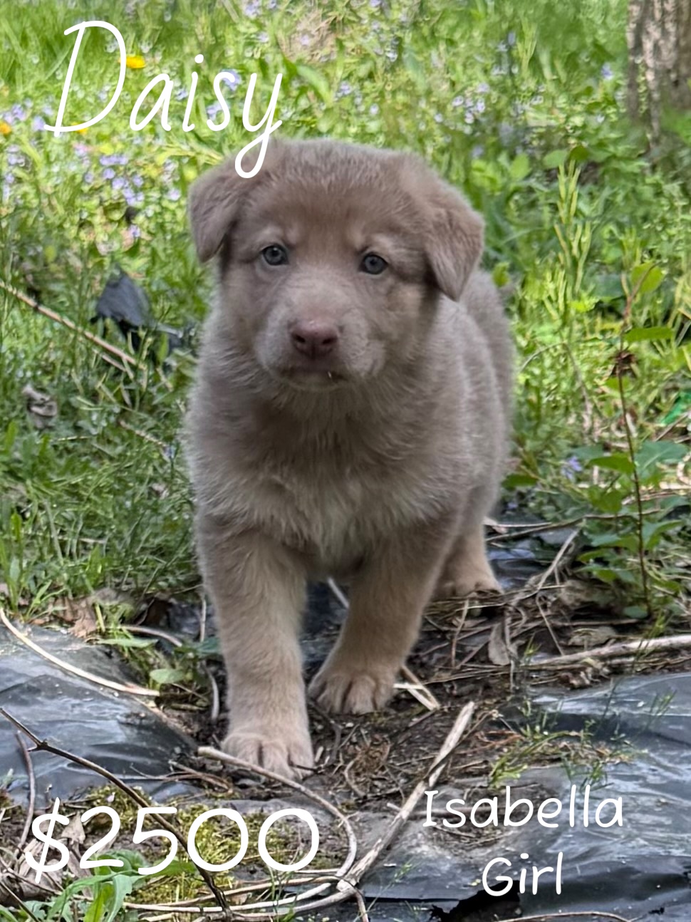 Photoroom_20260419_090033