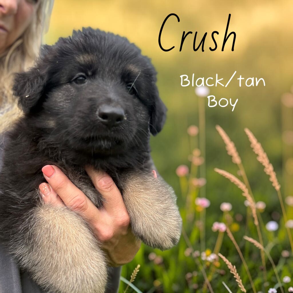 Photoroom_20260817_205521